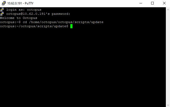 updateOctopus_01.png