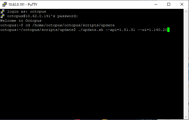 updateOctopus_02.png